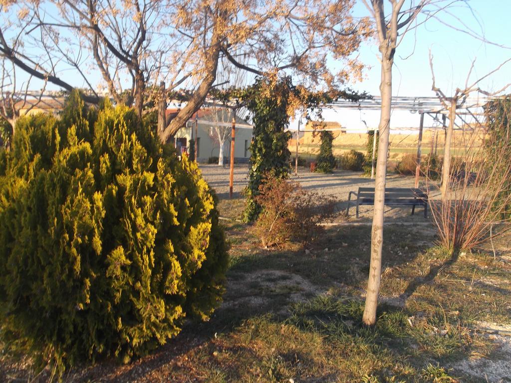 Albergue Cetina Bagian luar foto